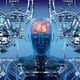 Brain (for test)