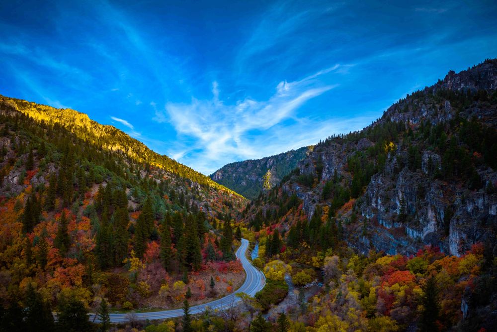 image of Fall Colors Logan Canyon