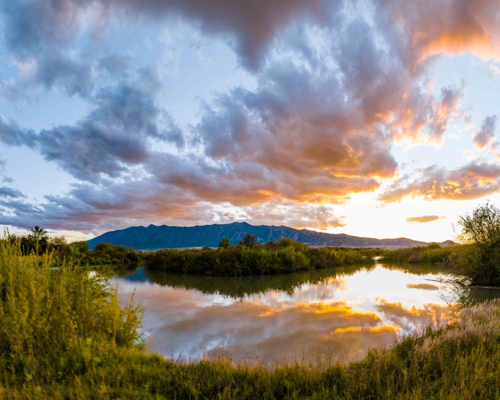 image of Cutler Marsh