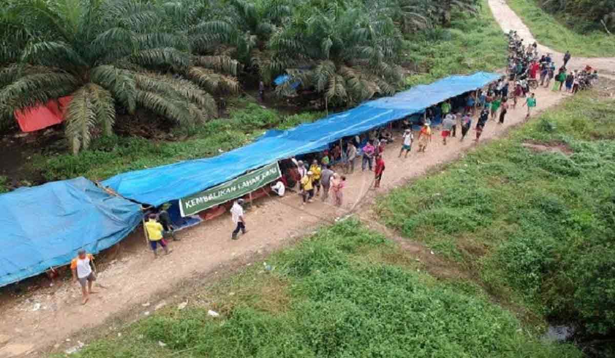 Sengketa Lahan Bukit Bakar, Konflik Agraria Picu Kekhawatiran Warga Jambi!