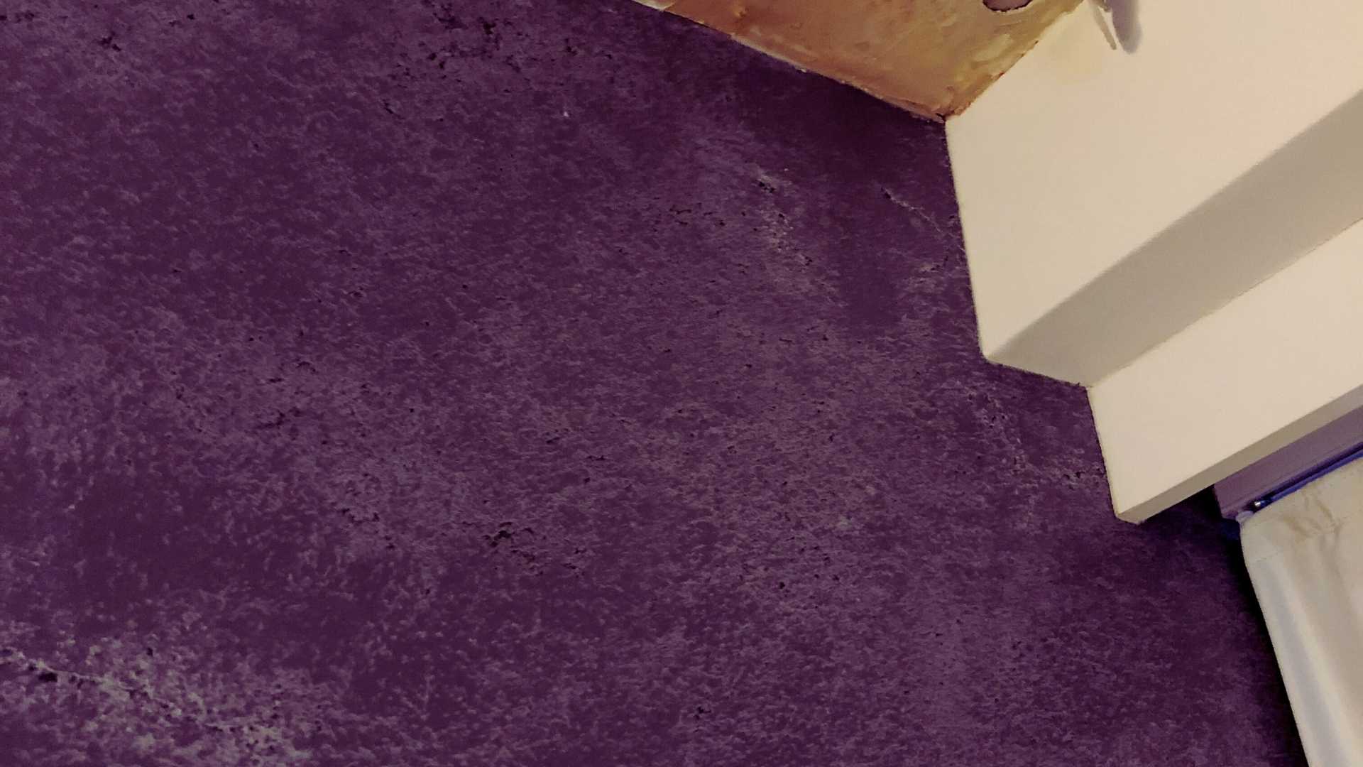 Black Mold Repair in Afton, MN