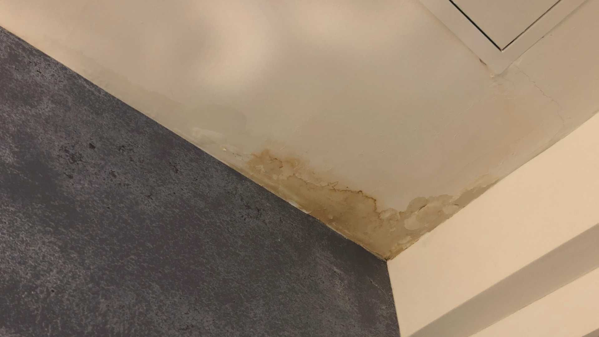 FAQS about Black Mold Removal Services in Afton, MN