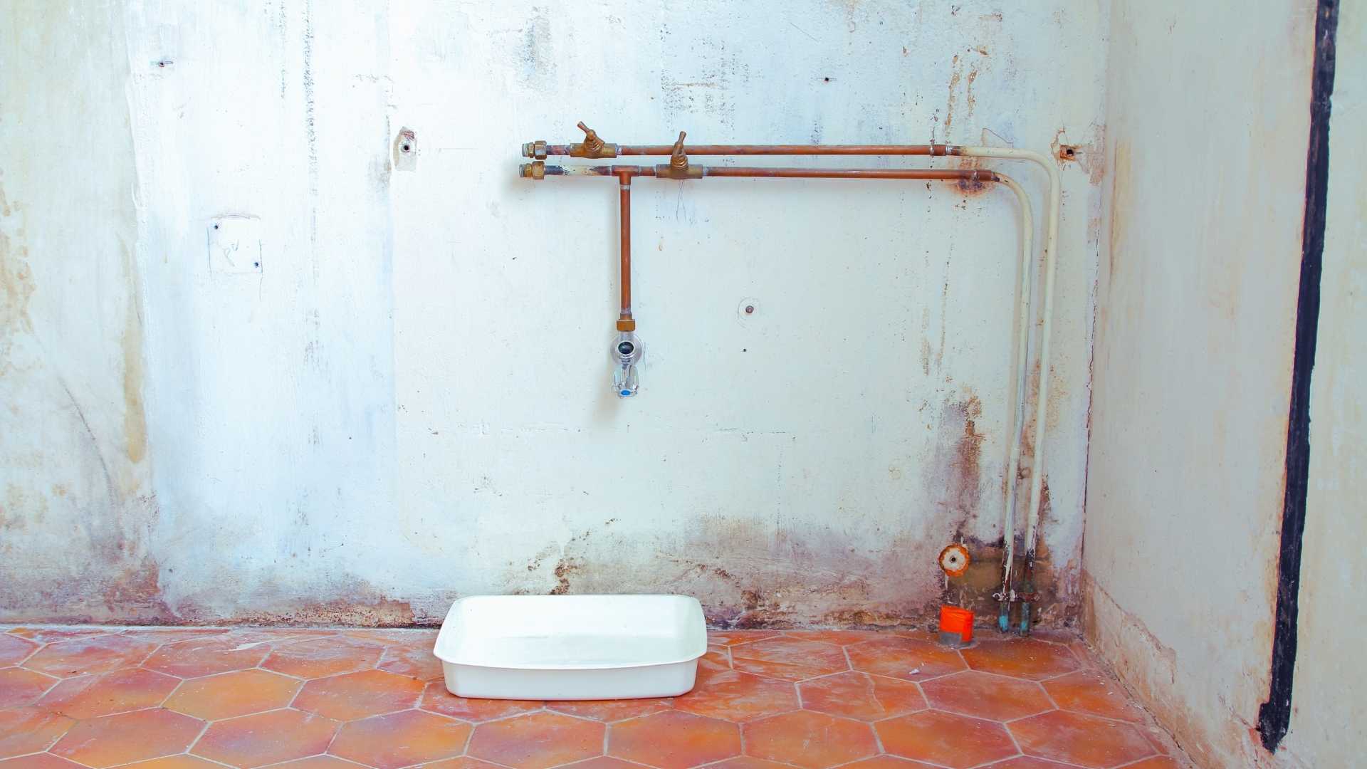 Mold Removal in Clarksville, IA