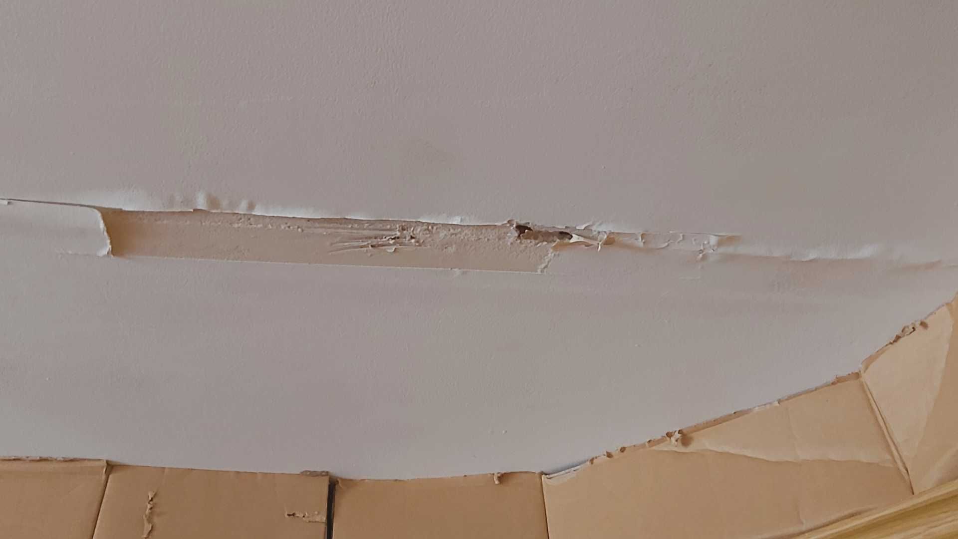 FAQS about Mold Removal Services in Clarksville, IA