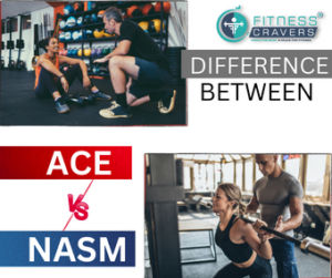 Difference Between NASM & ACE