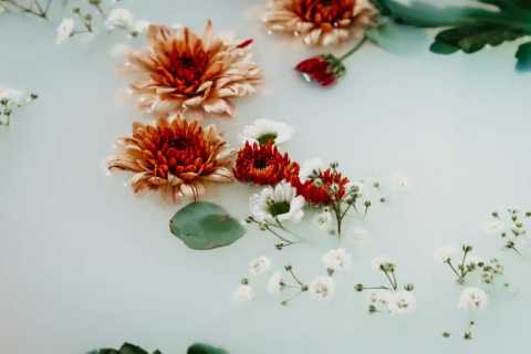 cate-brodersen-RXzlgJqGJ2o-unsplash.webp