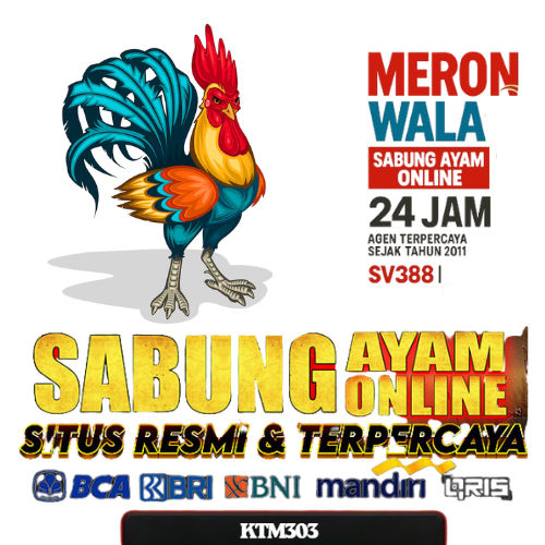 KTM303: Agen Judi Sabung Ayam Jago Sv388 Terpercaya Wala Meron Arena Filipina image 1