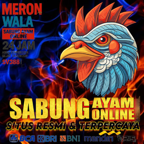 KTM303: Agen Judi Sabung Ayam Online Terpercaya Sv388 Wala Meron Hari Ini image 1