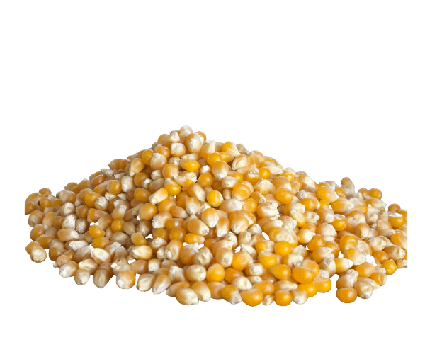 Pop Magic Imported Argentina Corn®