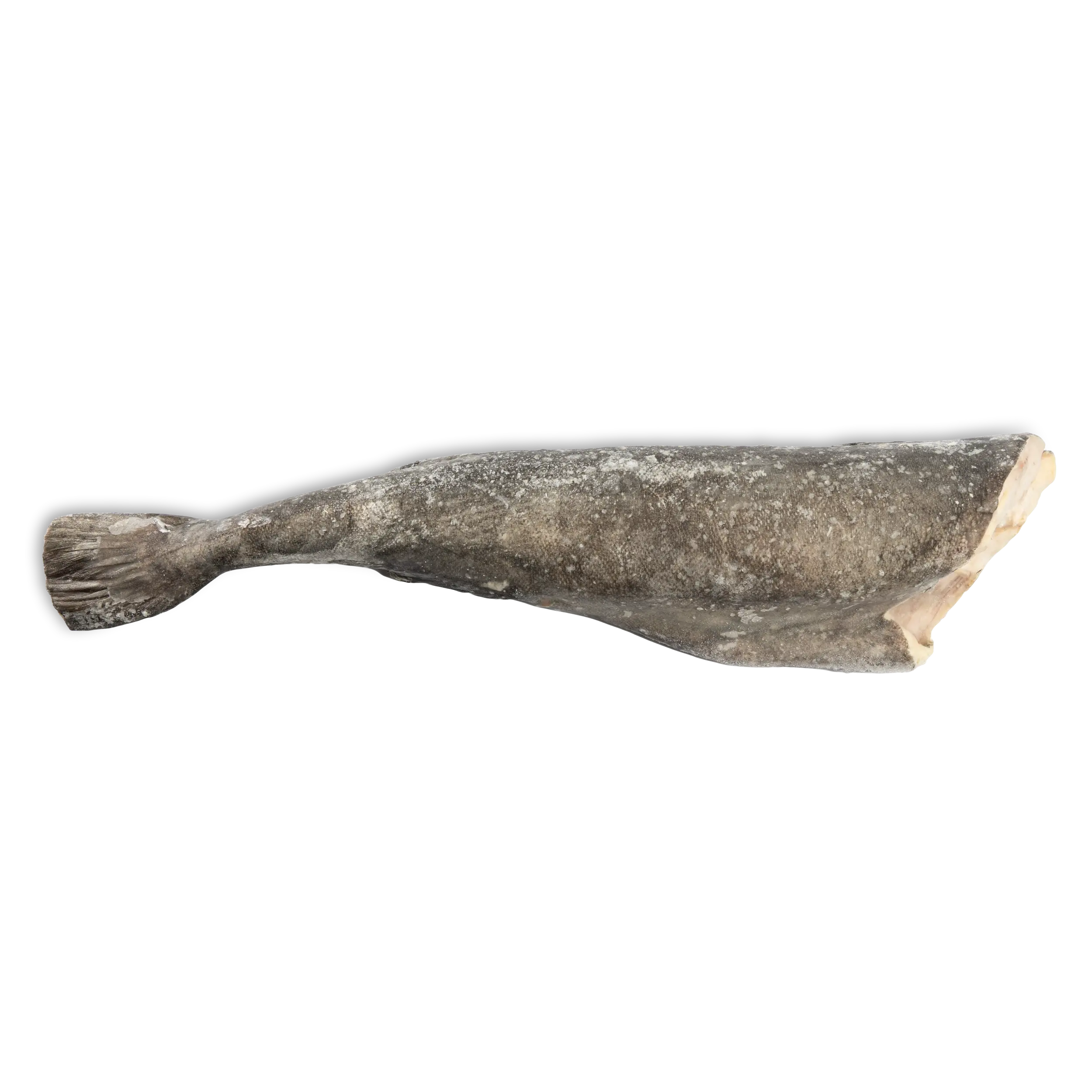 R_CARBONARO D’ALASKA  5/7 lbs c/bordo (Black cod – Anoplopoma fimbria)