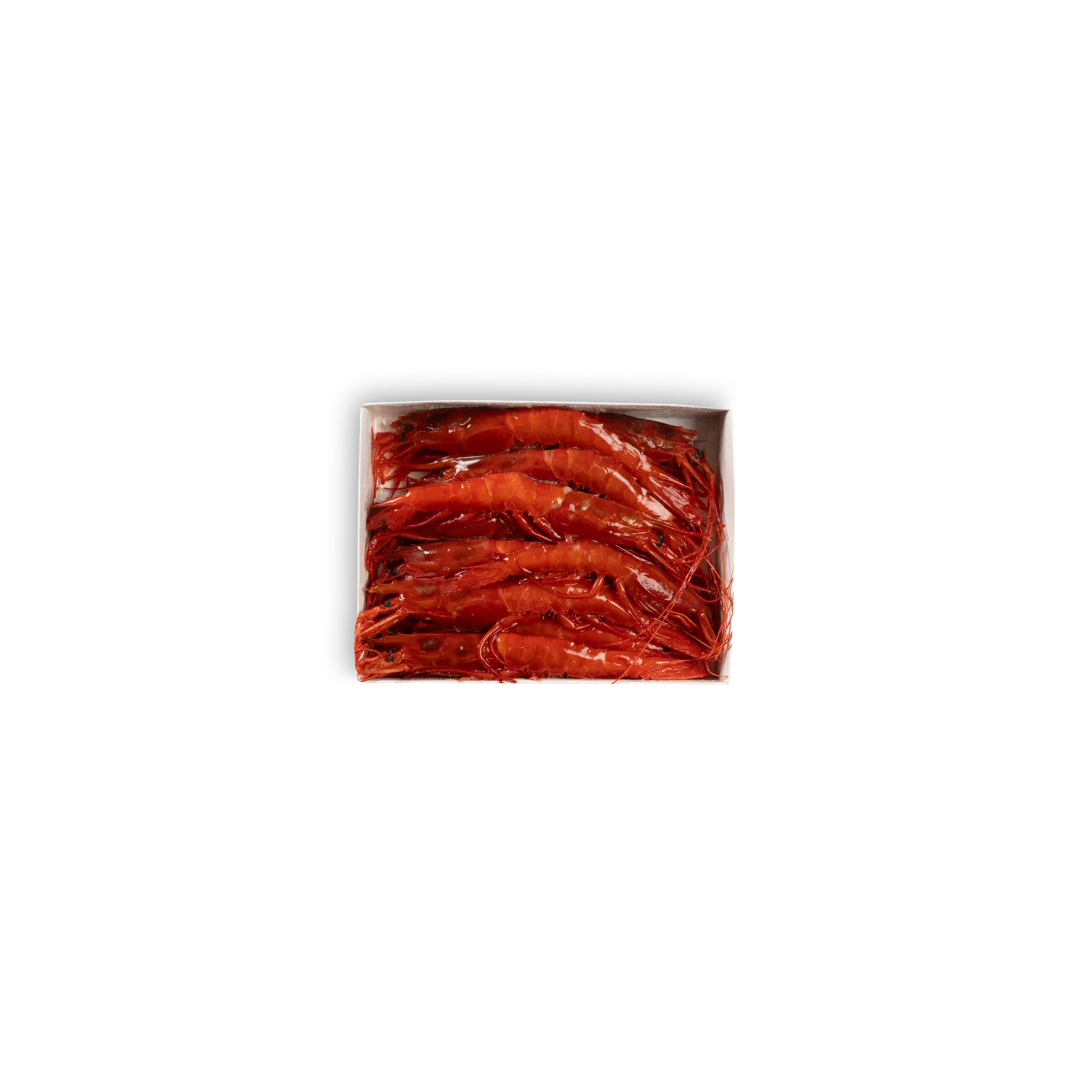 GAMBERO CARABINERO – L – (31/40)