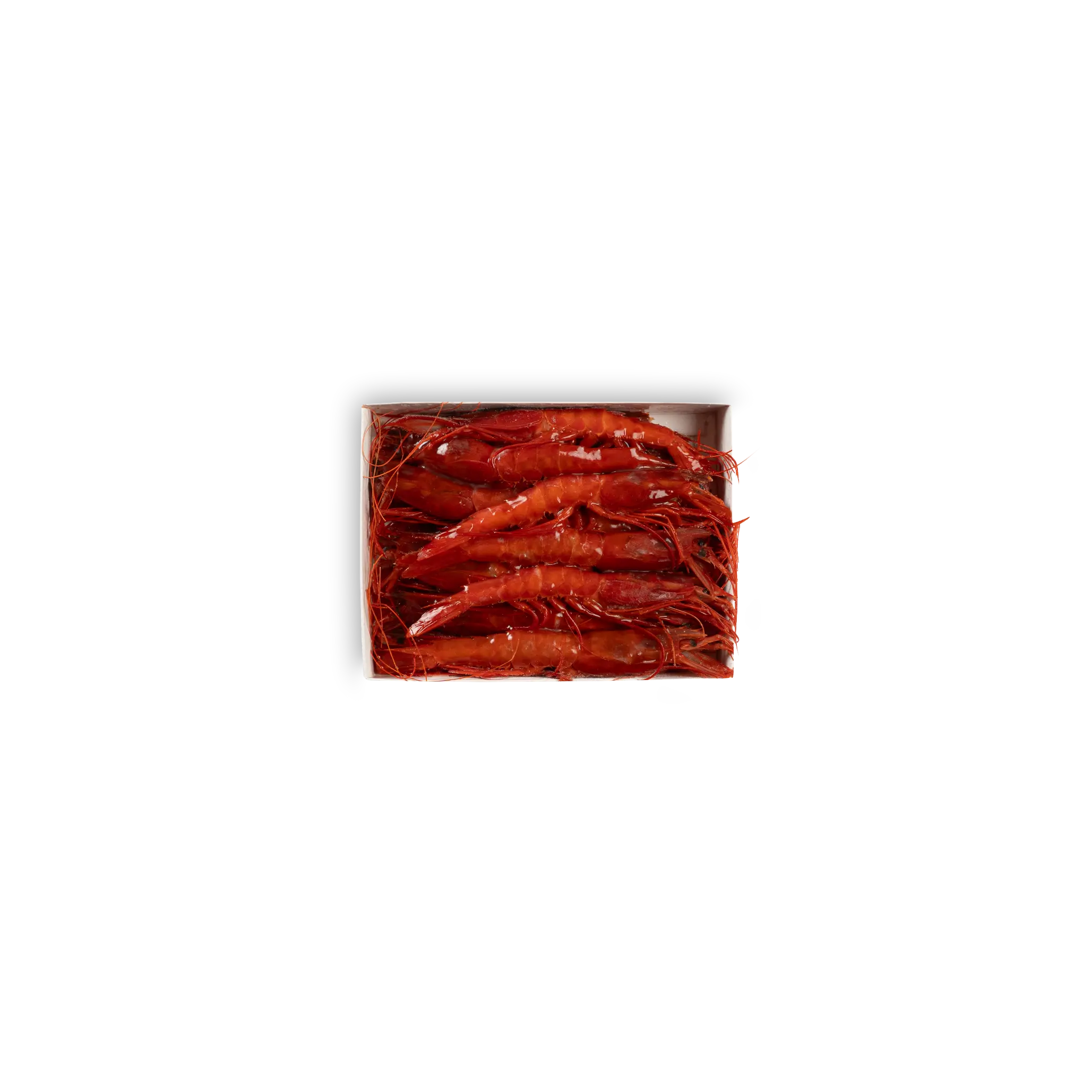 GAMBERO CARABINERO – M – (41/60)