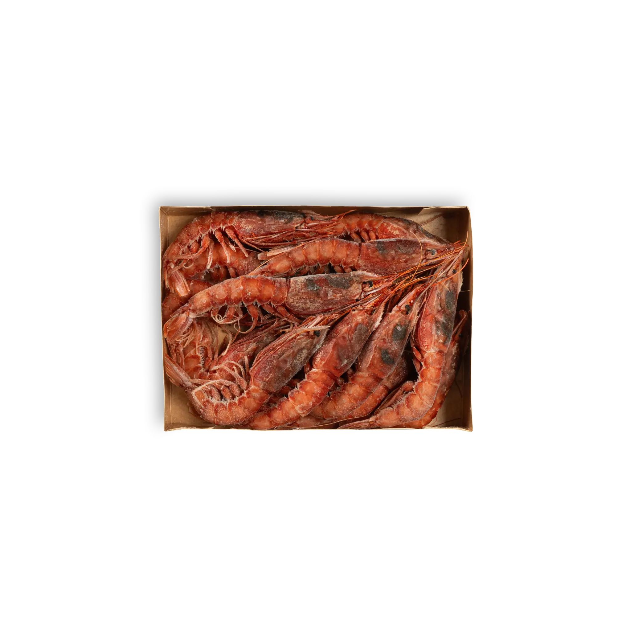 GAMBERO ”RE ROSSO” Platinum Superior (EXTR) (15/20pz)