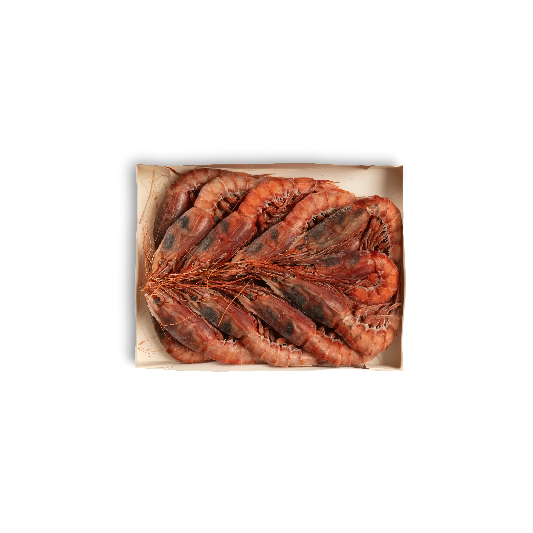 RUBINO DI SICILIA  1° (15/20pz) ”Gambero Rosso di Mazara”