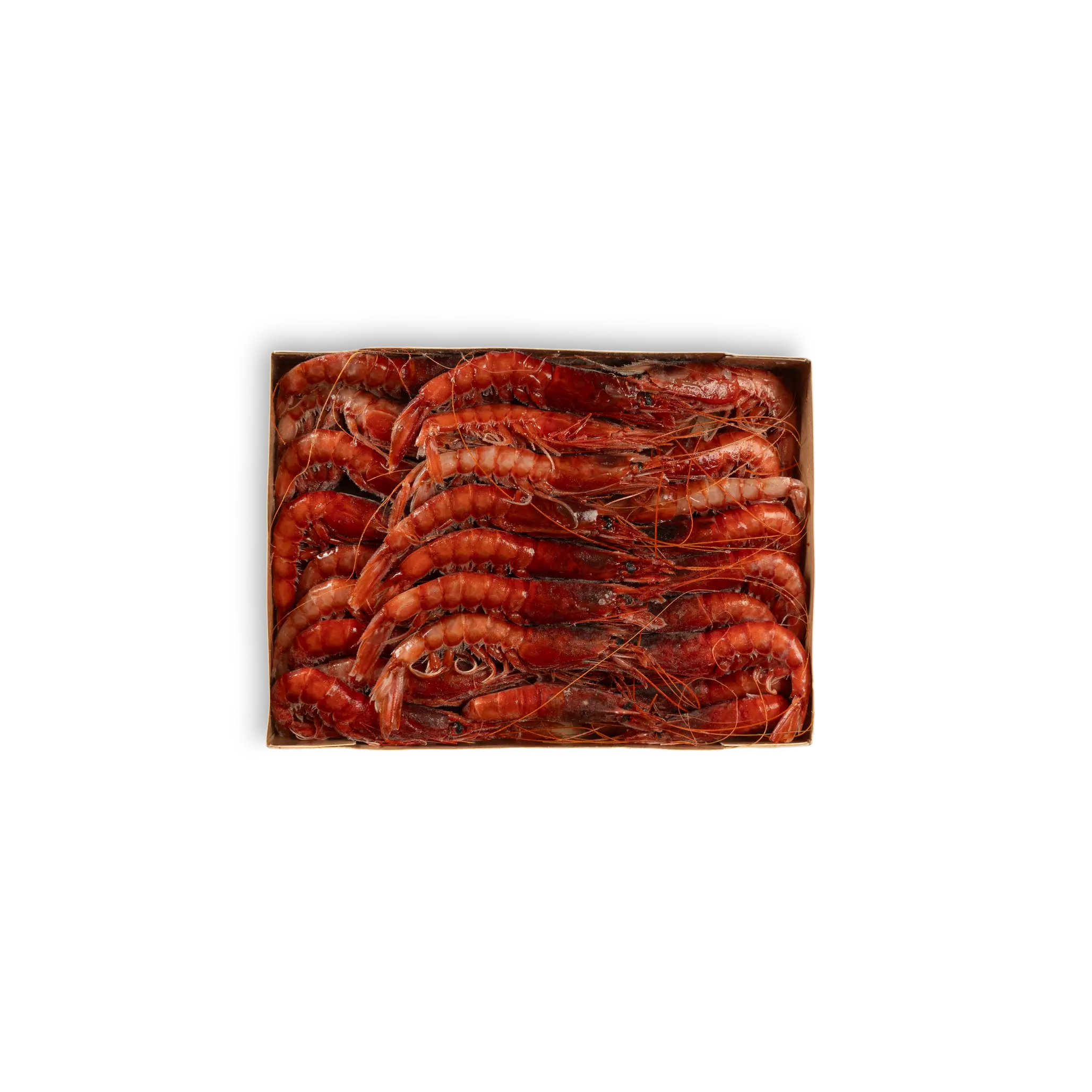 GAMBERO ”RE ROSSO” Silver (III) (36/55pz)