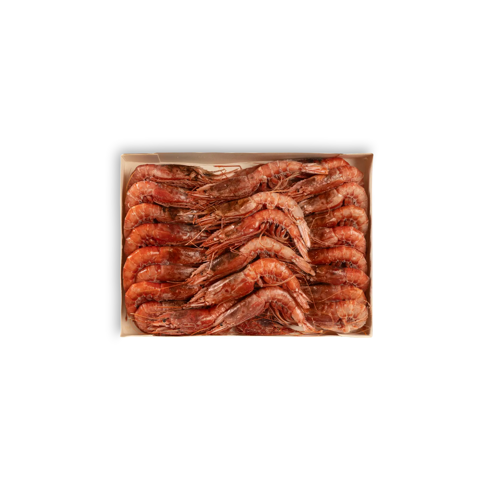 RUBINO DI SICILIA  3° (36/55pz) ”Gambero Rosso di Mazara”