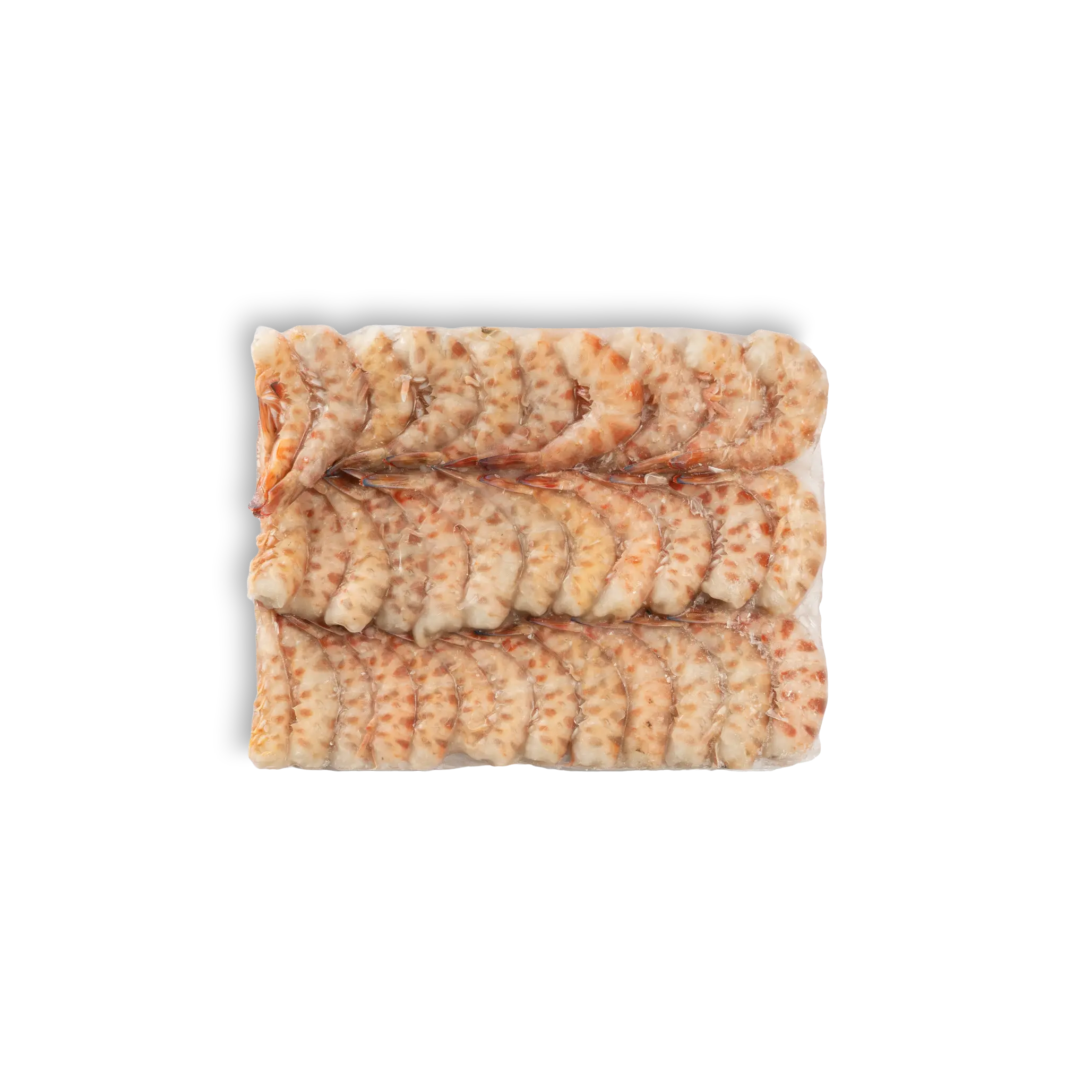 CODA DI MAZZANCOLLA STG TUNISIA  (32/55 Pz/Kg)