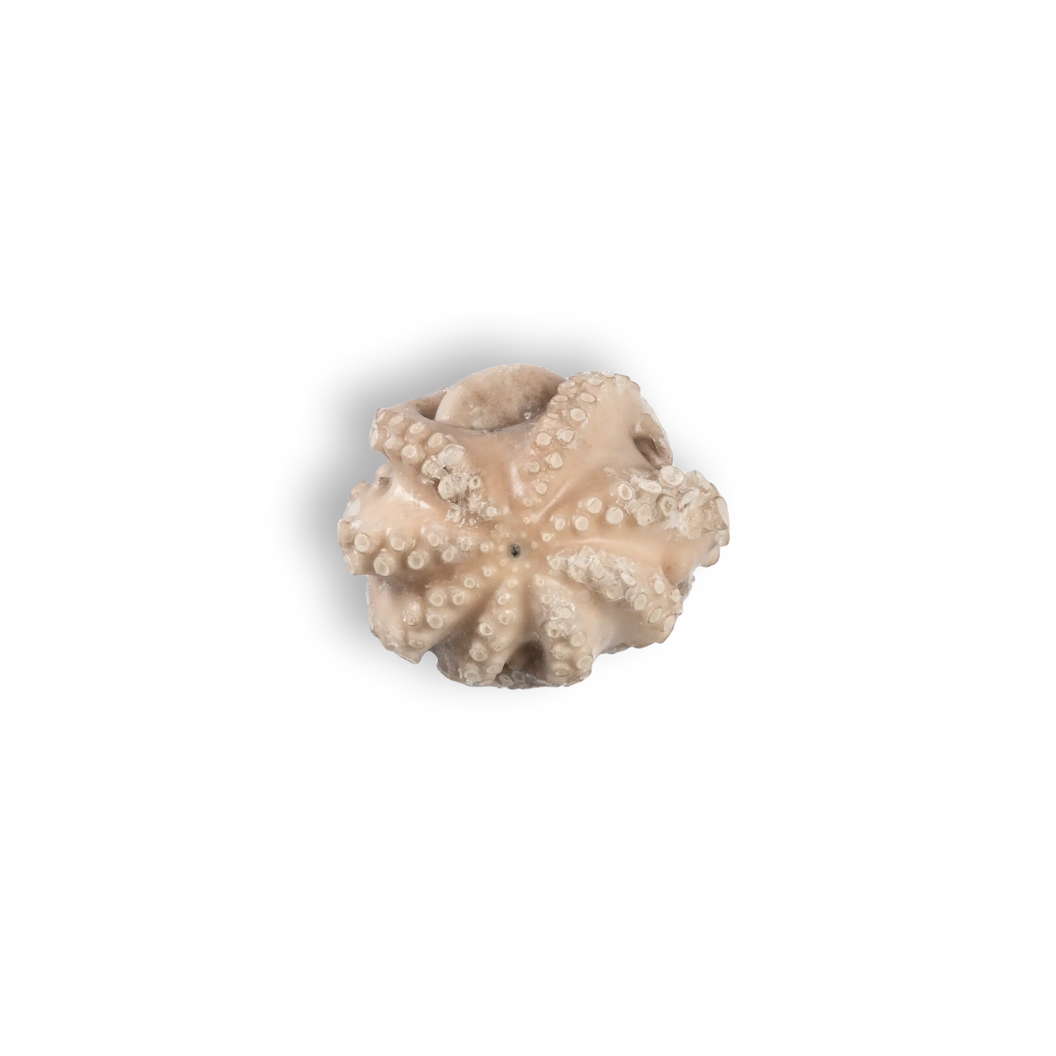 POLPI T5 GR. 1200/1500   IQF – ”SO.CO.PO”