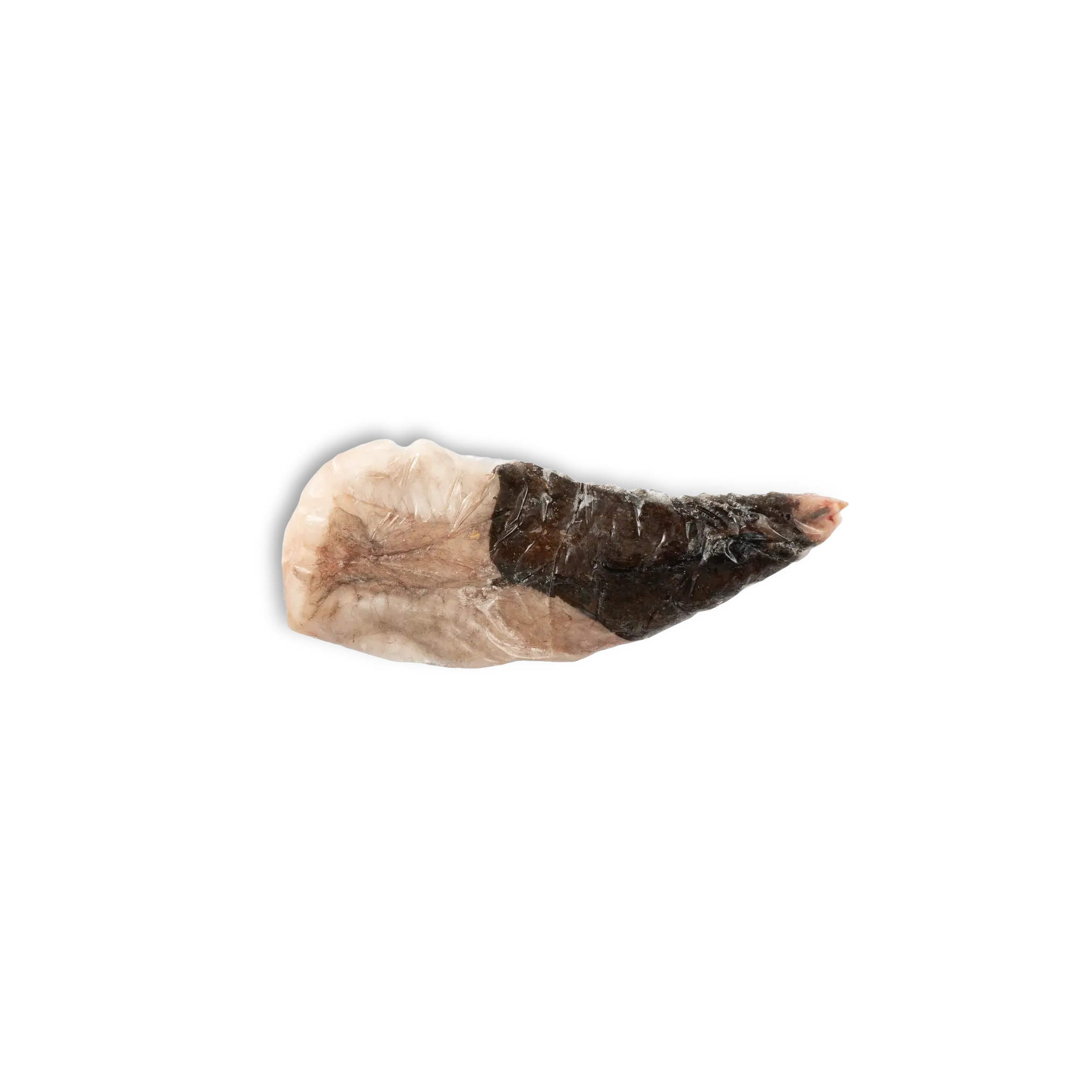 CODE RANA PESCATRICE C/P  500/1000 – “Benguella”
