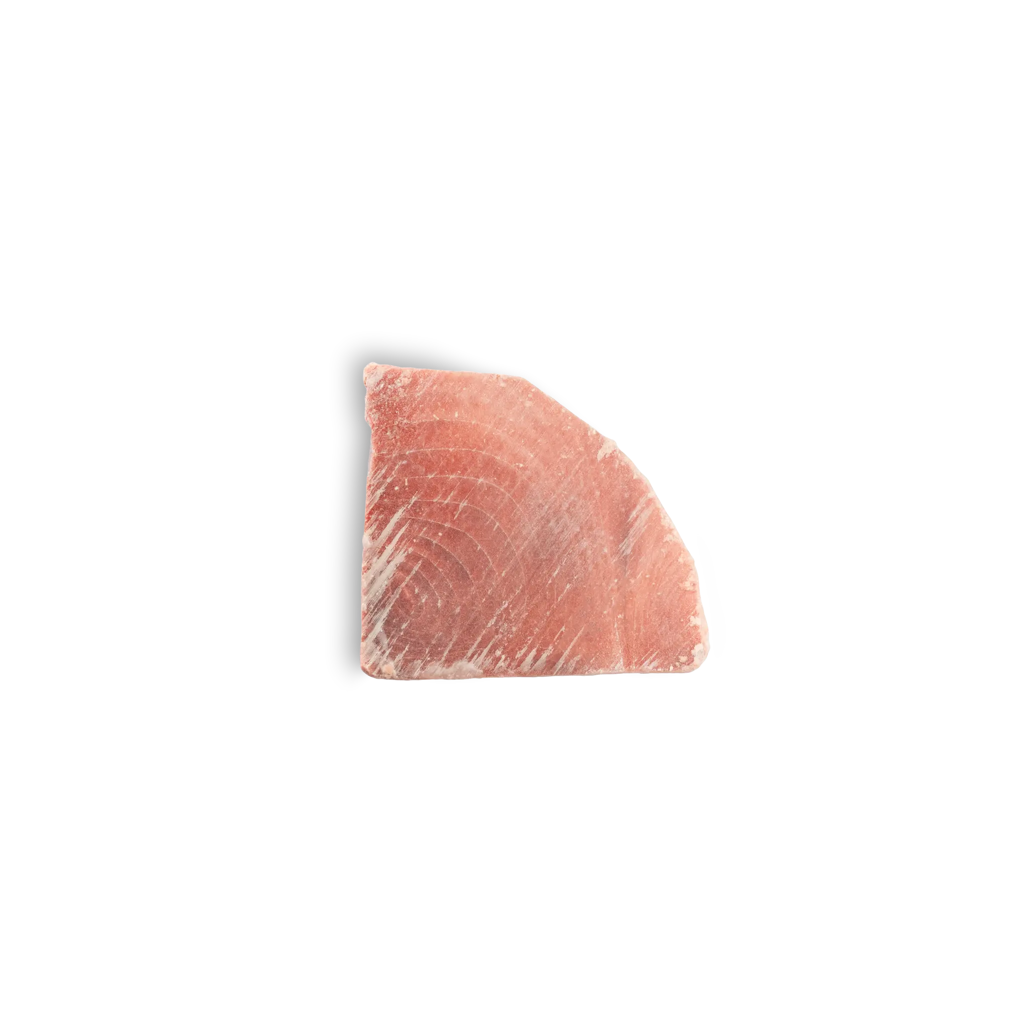 TONNO PINNE OBESO FILONI Grado AA Sashimi – Superfrozen -60°C