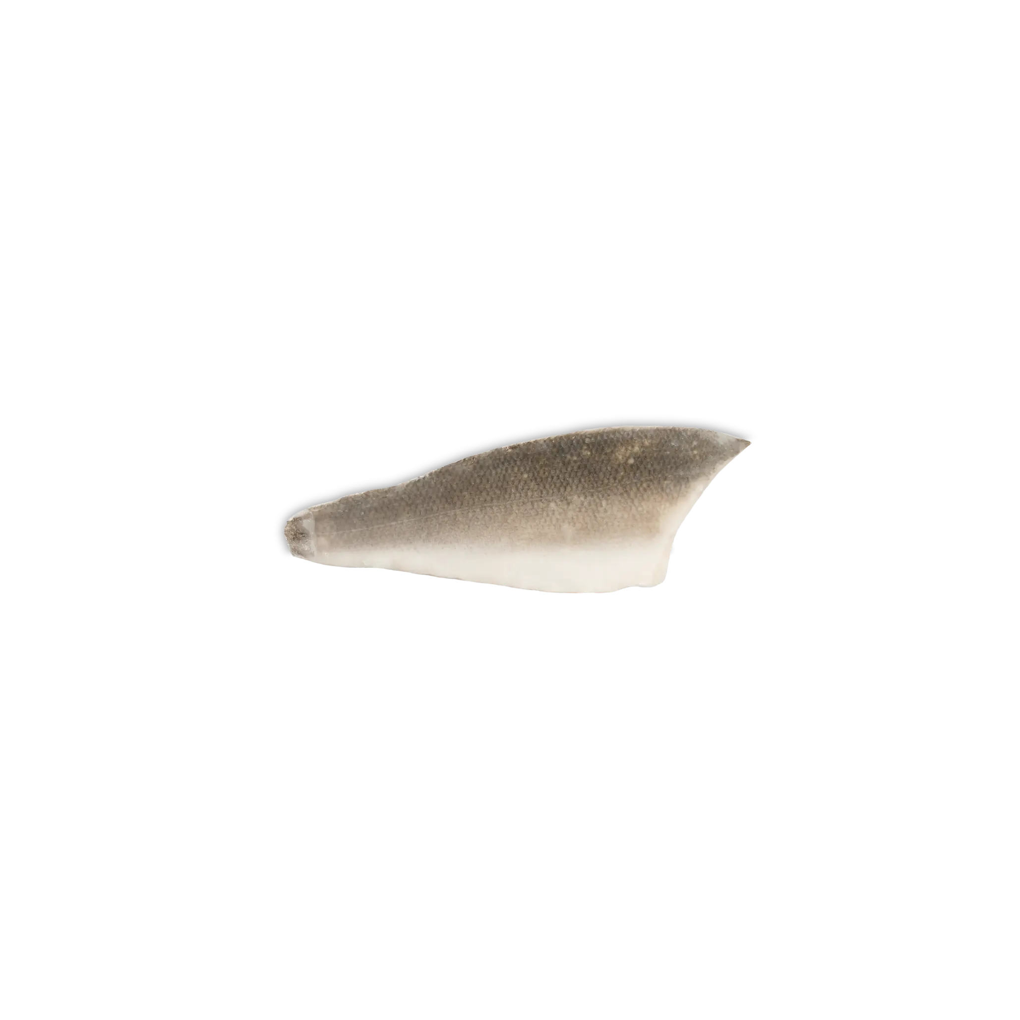 FILETTO BRANZINO GR. 120/160 IQF