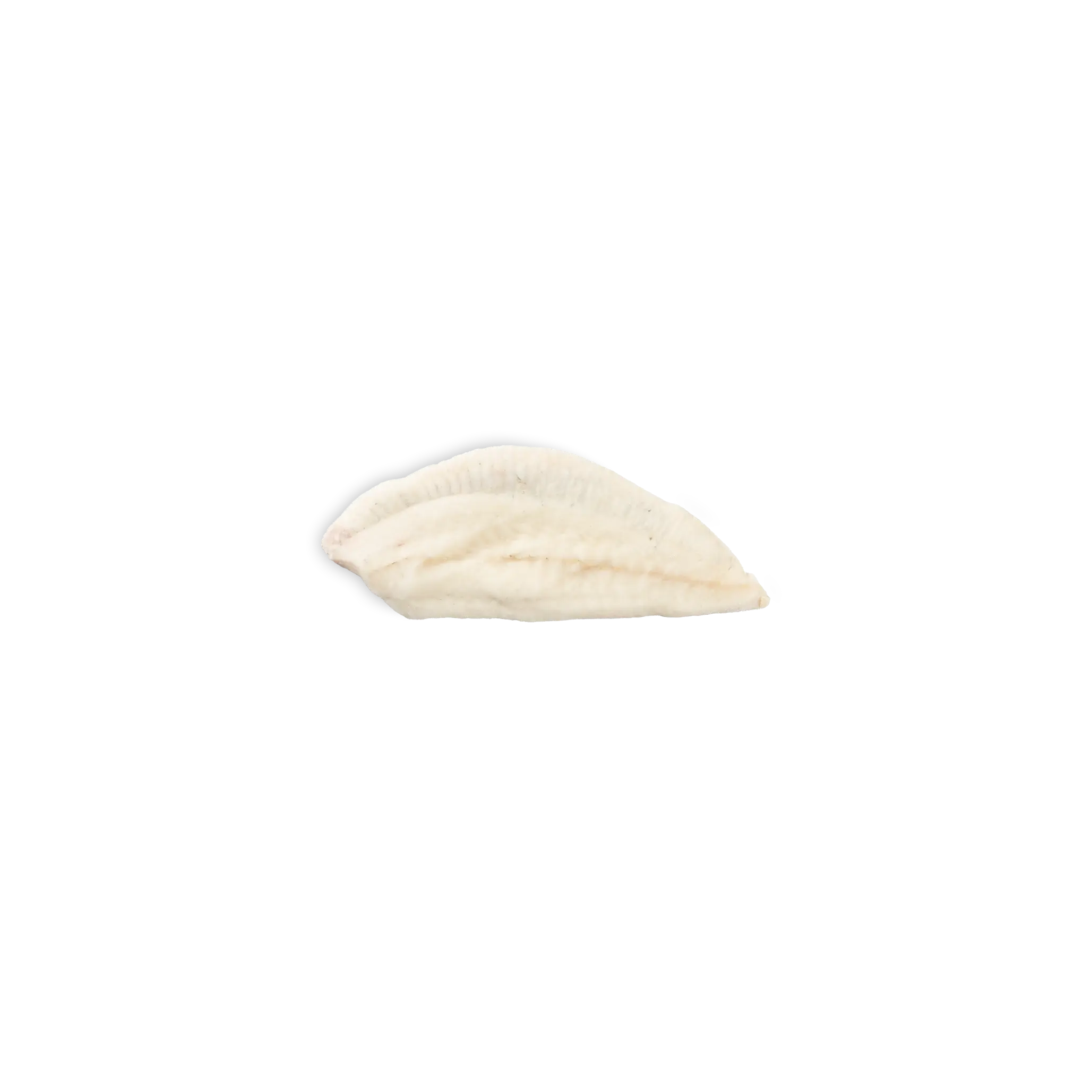FILETTO ROMBO CHIODATO GR. 80/150 IQF