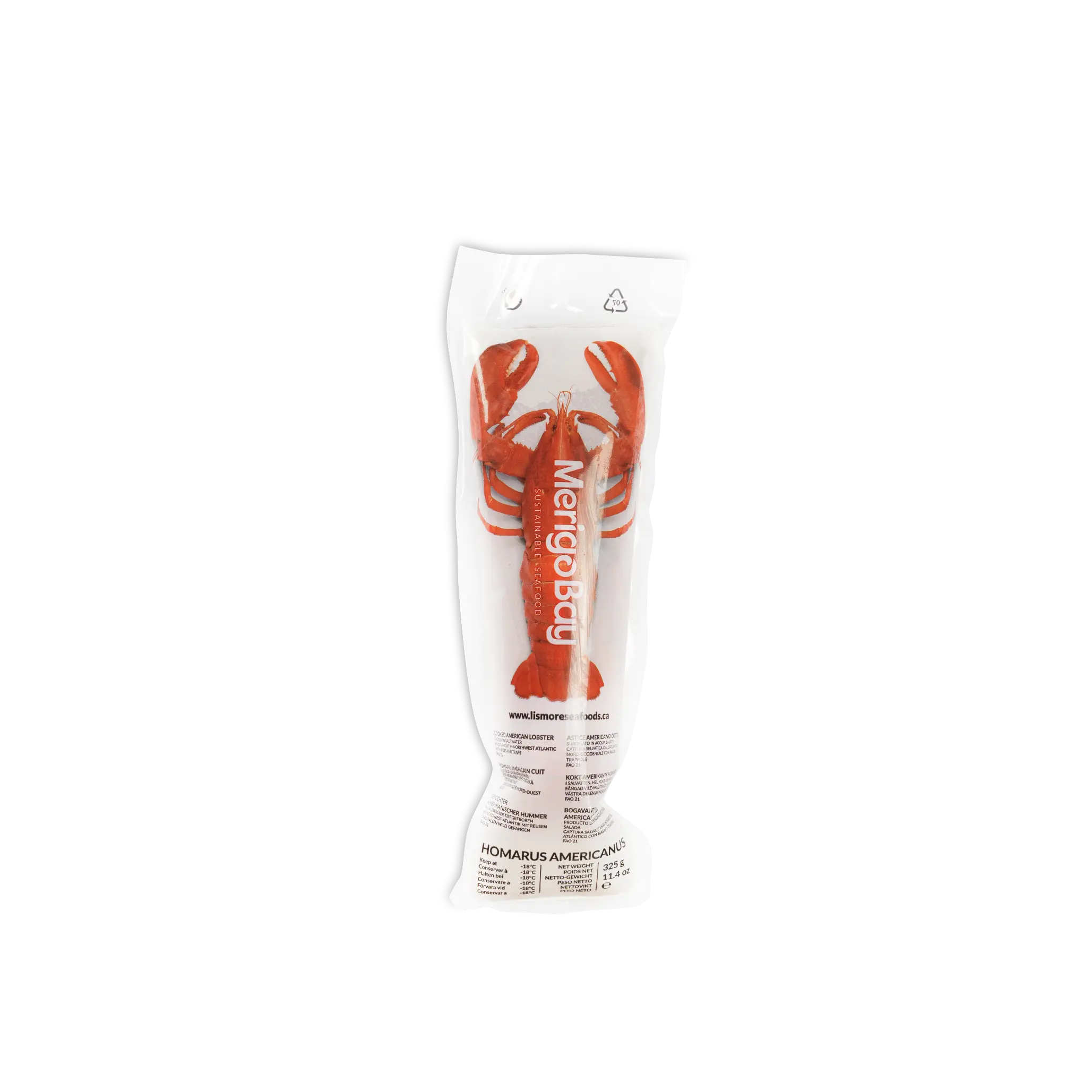 ASTICE AMERICANO COTTO TUBO  GR. 325