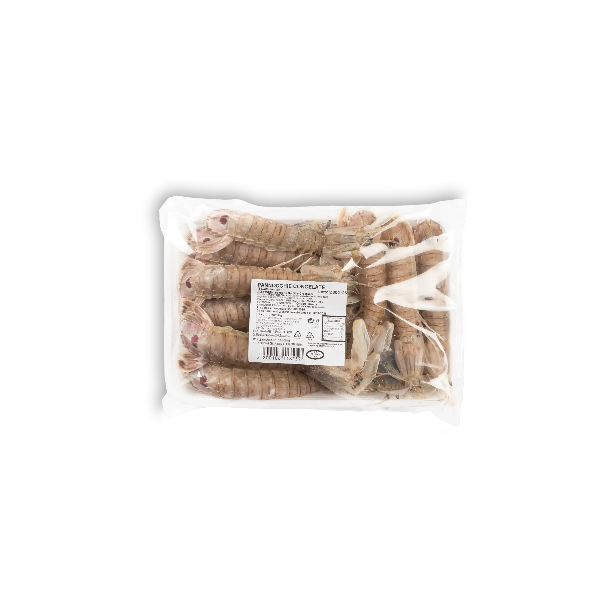 CANOCCHIA