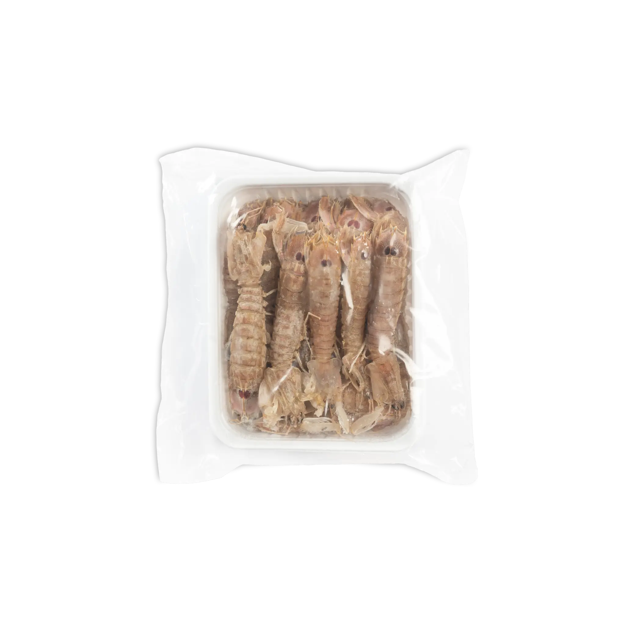 CANOCCHIA ADRIATICO (20/30 pz x kg ) ”Ecopesce” – (Squilla mantis)