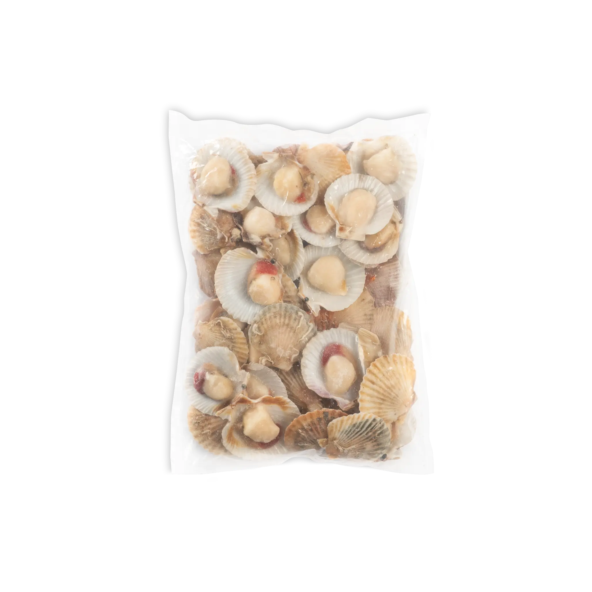 CANESTRELLI MEZZO GUSCIO 40/60