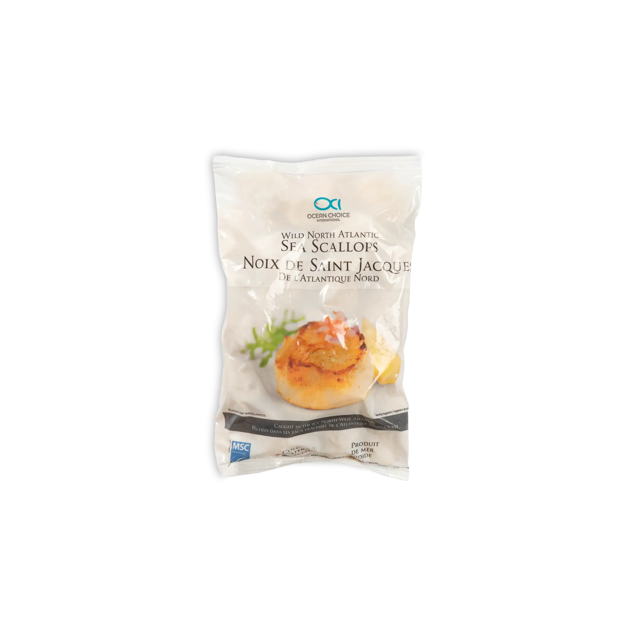 CAPESANTE OCEANICHE POLPA 10/20 – “Ocean choice”