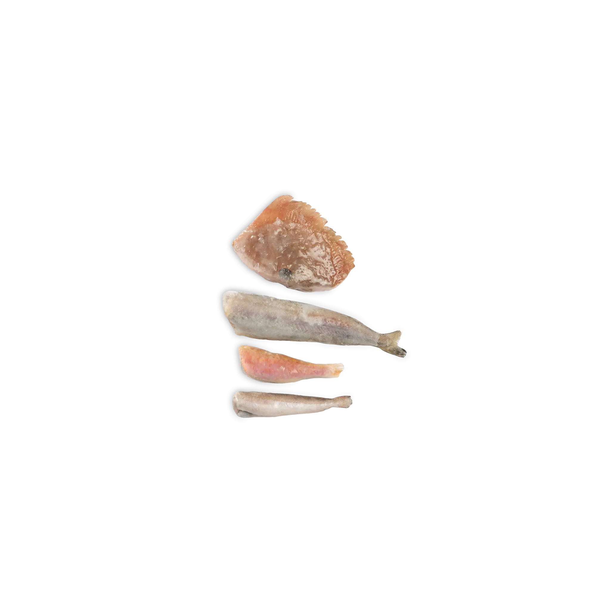 FRITTURA MISTA PESCE S/TESTA