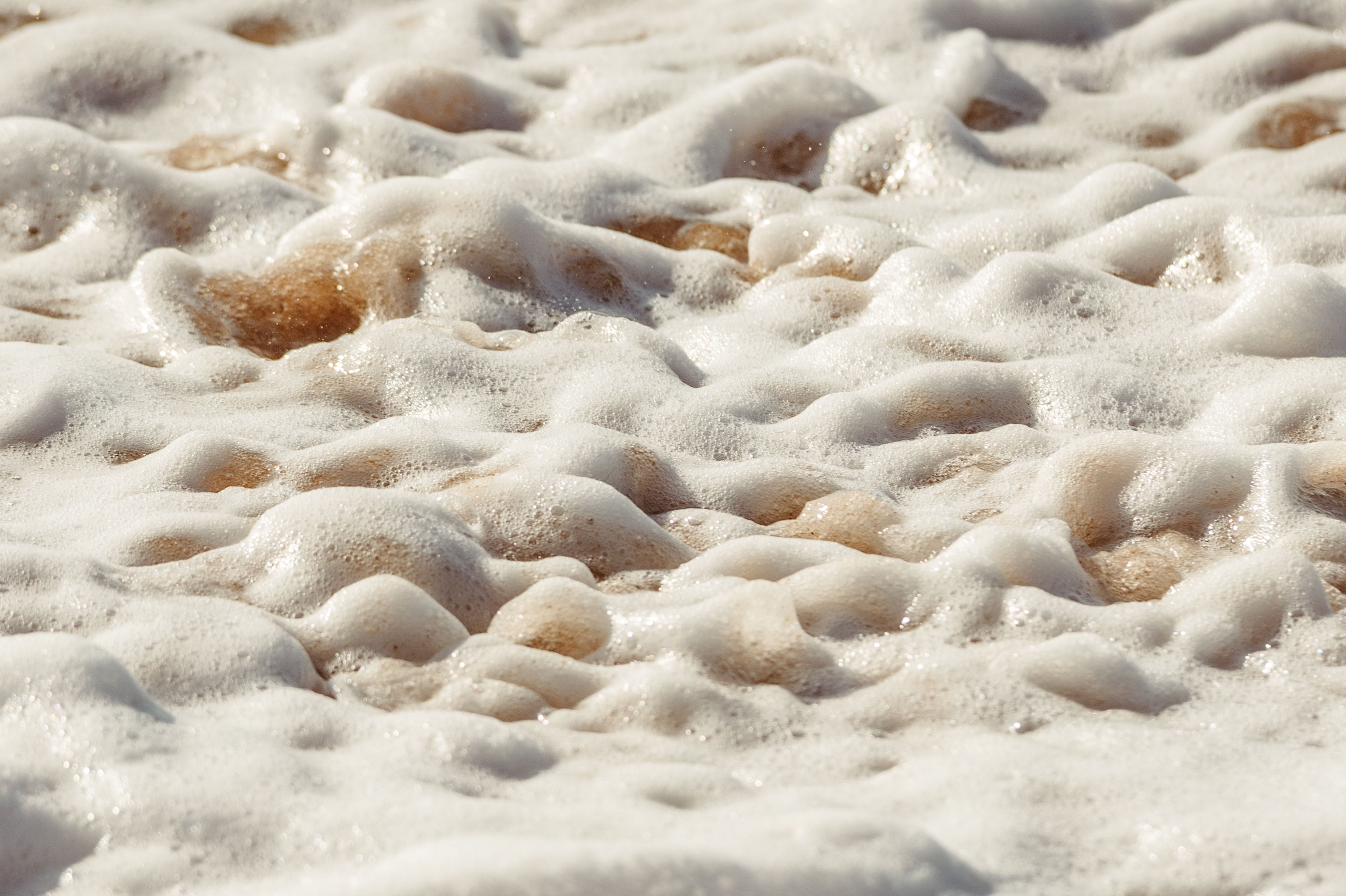 Sea-butter
