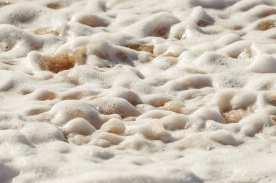 Sea-butter