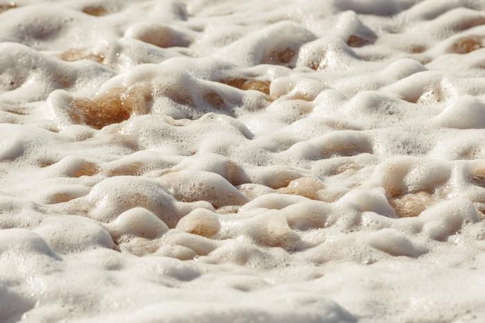 Sea-butter