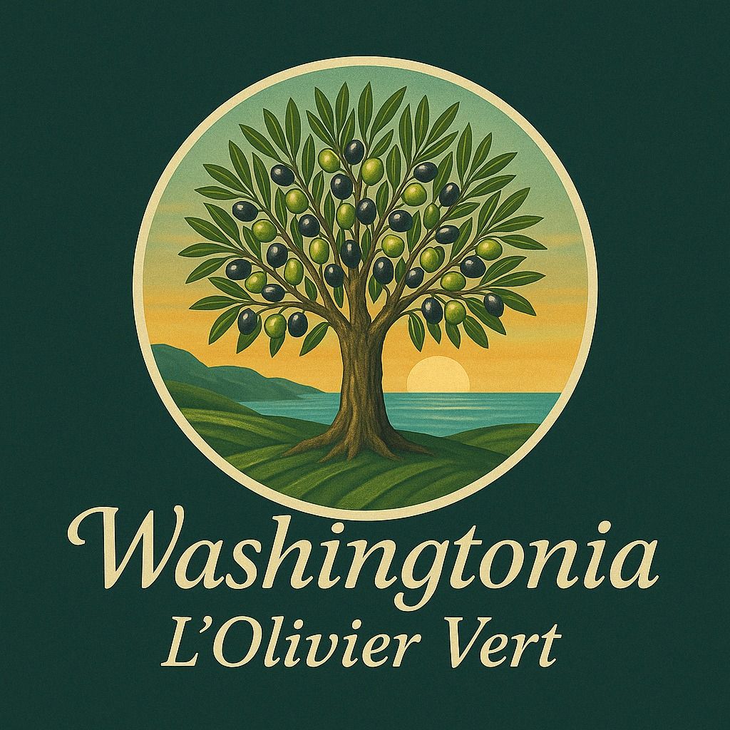 Logo Washingtonia