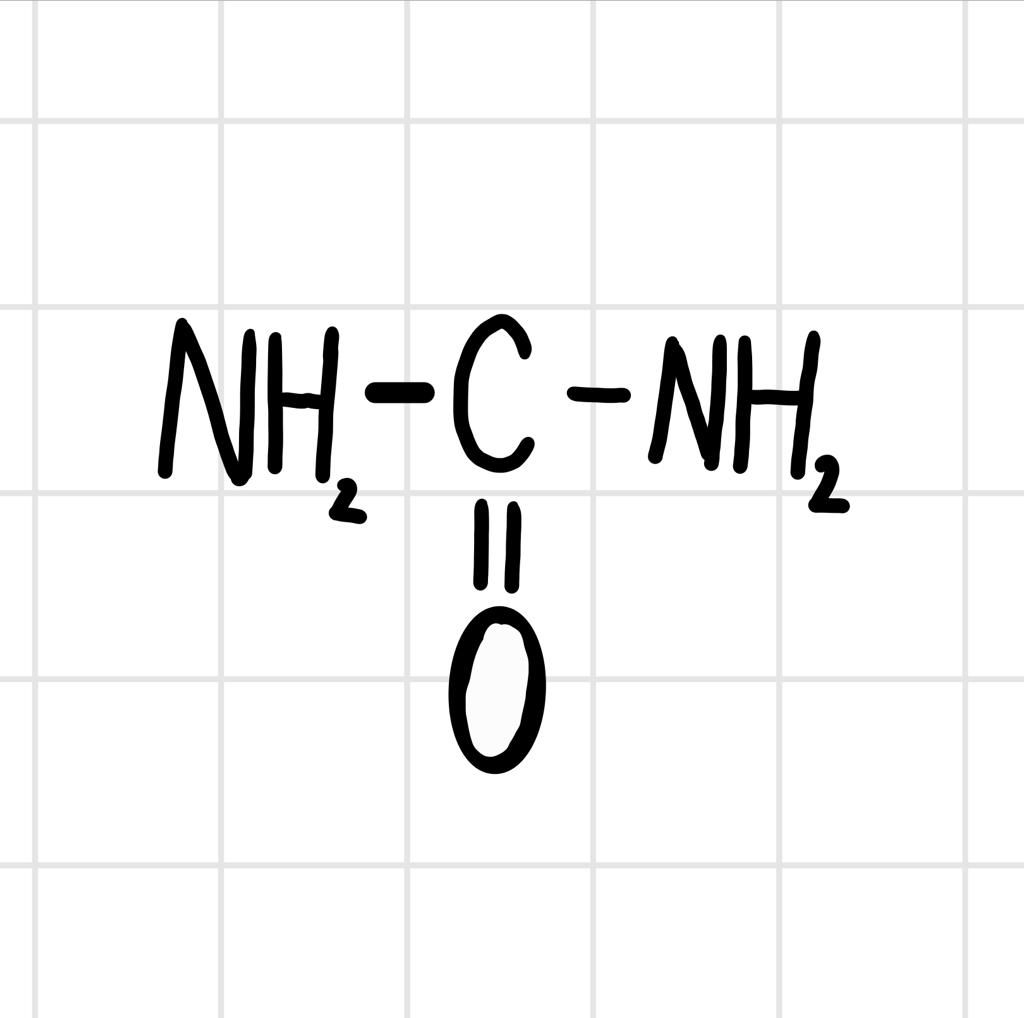 co(nh2)2 lewis structure