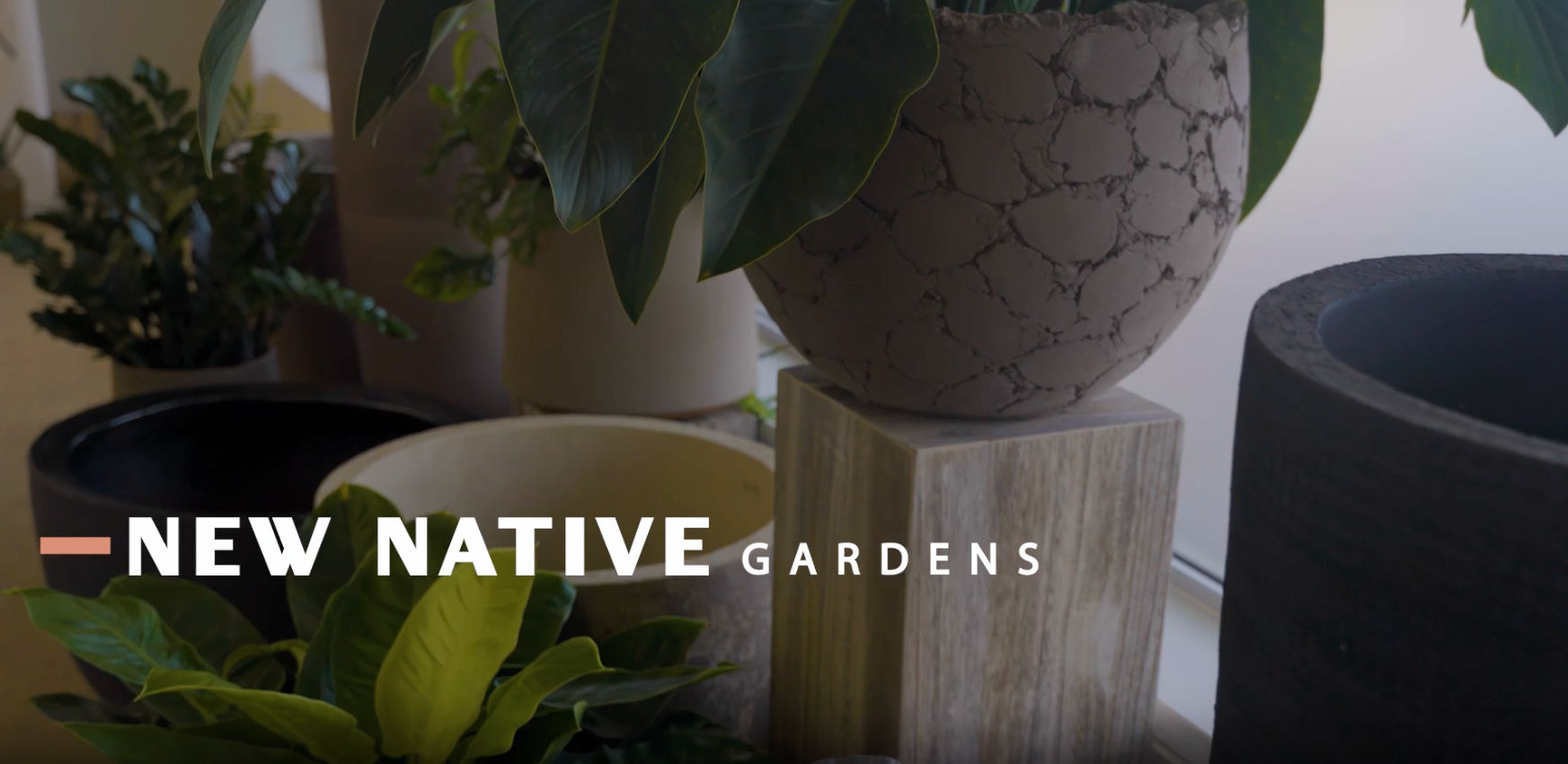 New Native Gardens plant design process video thumbnail - click to play