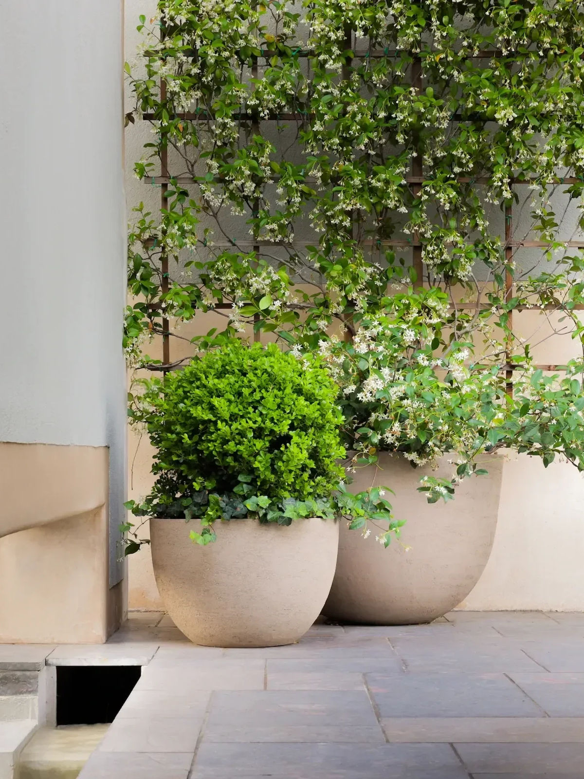 Planted Pots, Interior Design, Landscape Design, Home Design, Landscape Architecture, Native Plants, Austin Nursery, Nursery, Garden Center, Gardening, Custom Design, Existing Planter Design, Plant Care, Plant Design, Plant Delivery