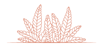 New Native Gardens plant logo