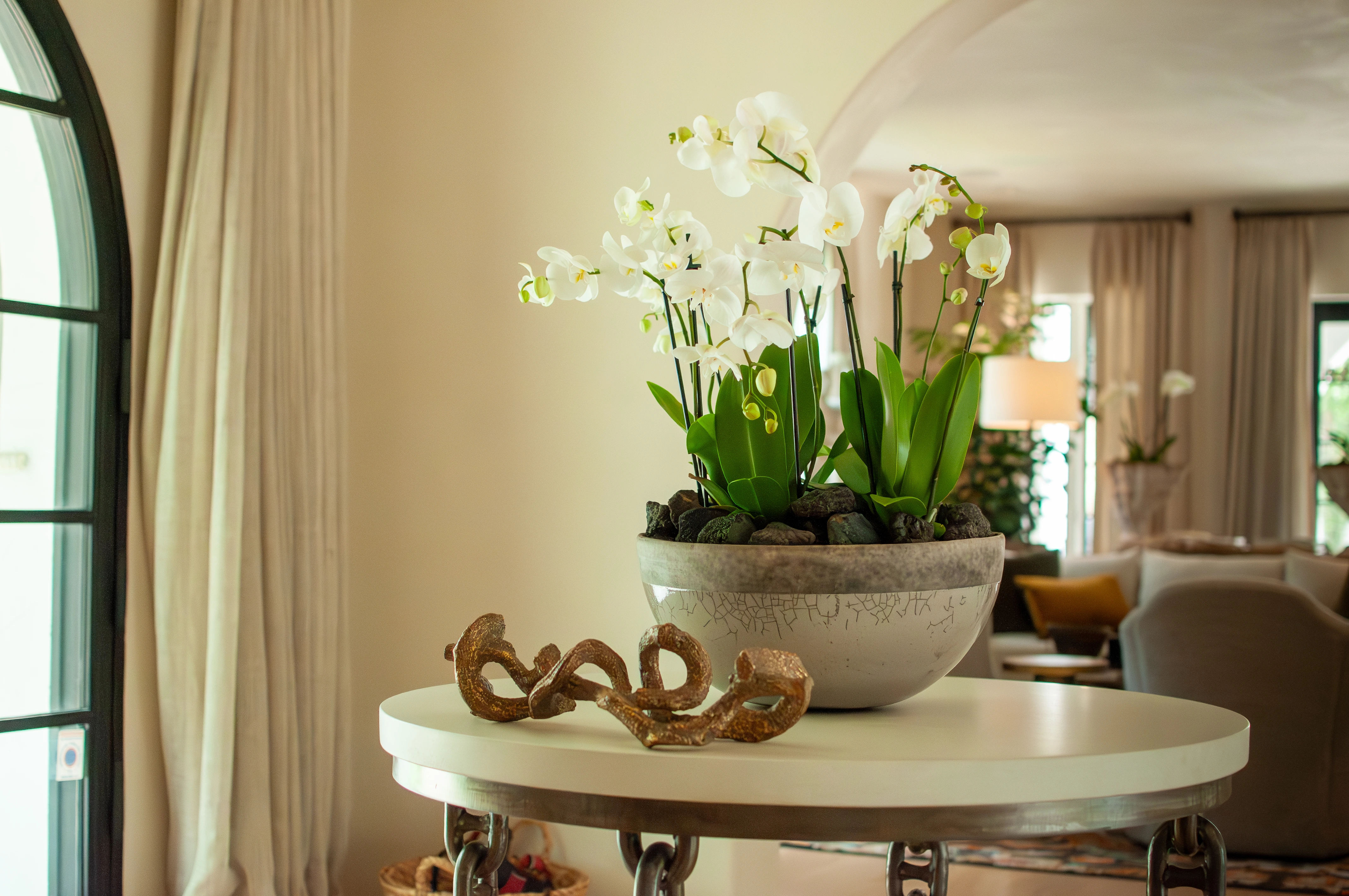 Tarrytown Florals & Orchids