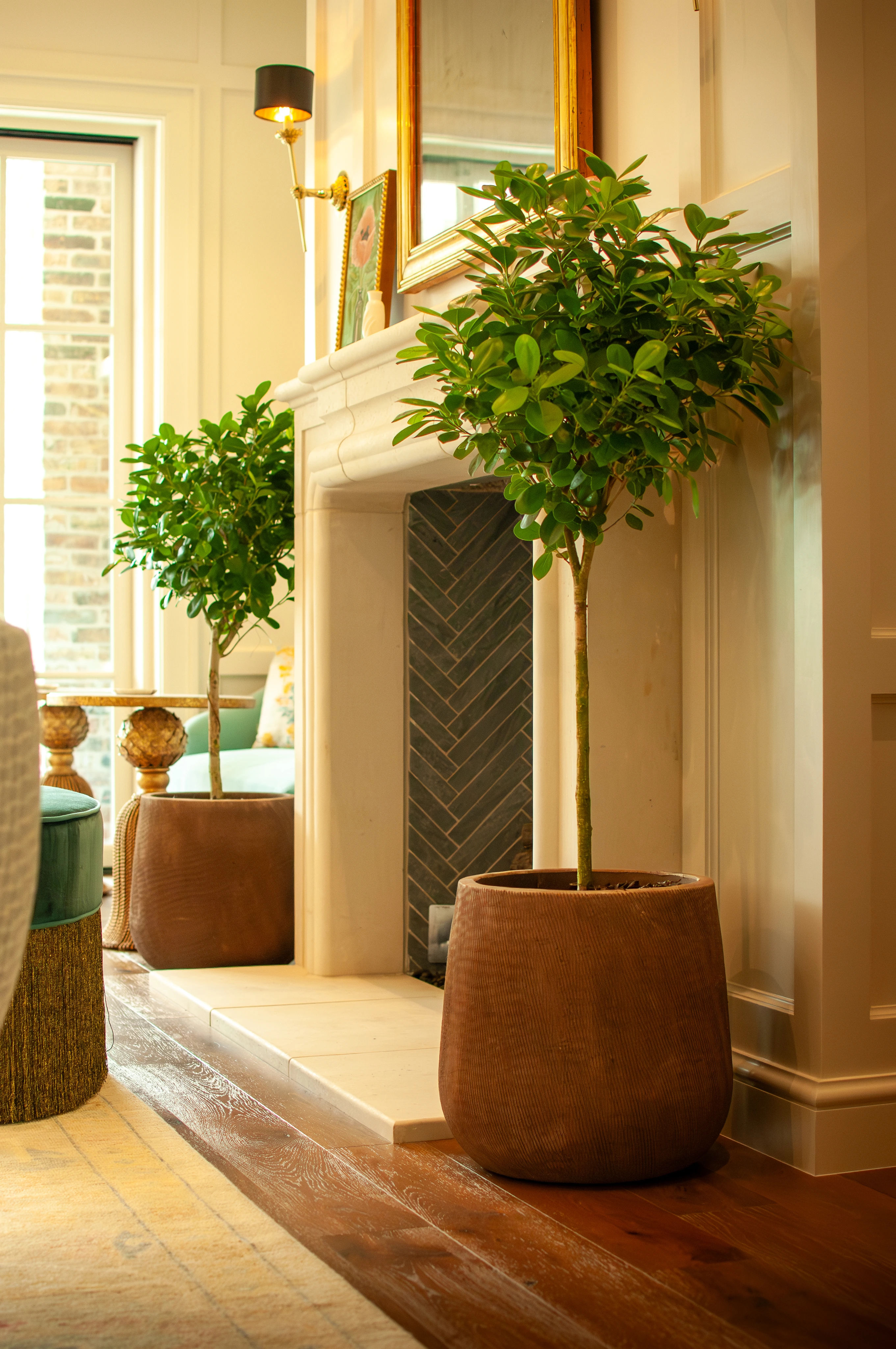 Rollingwood Timeless & Refined