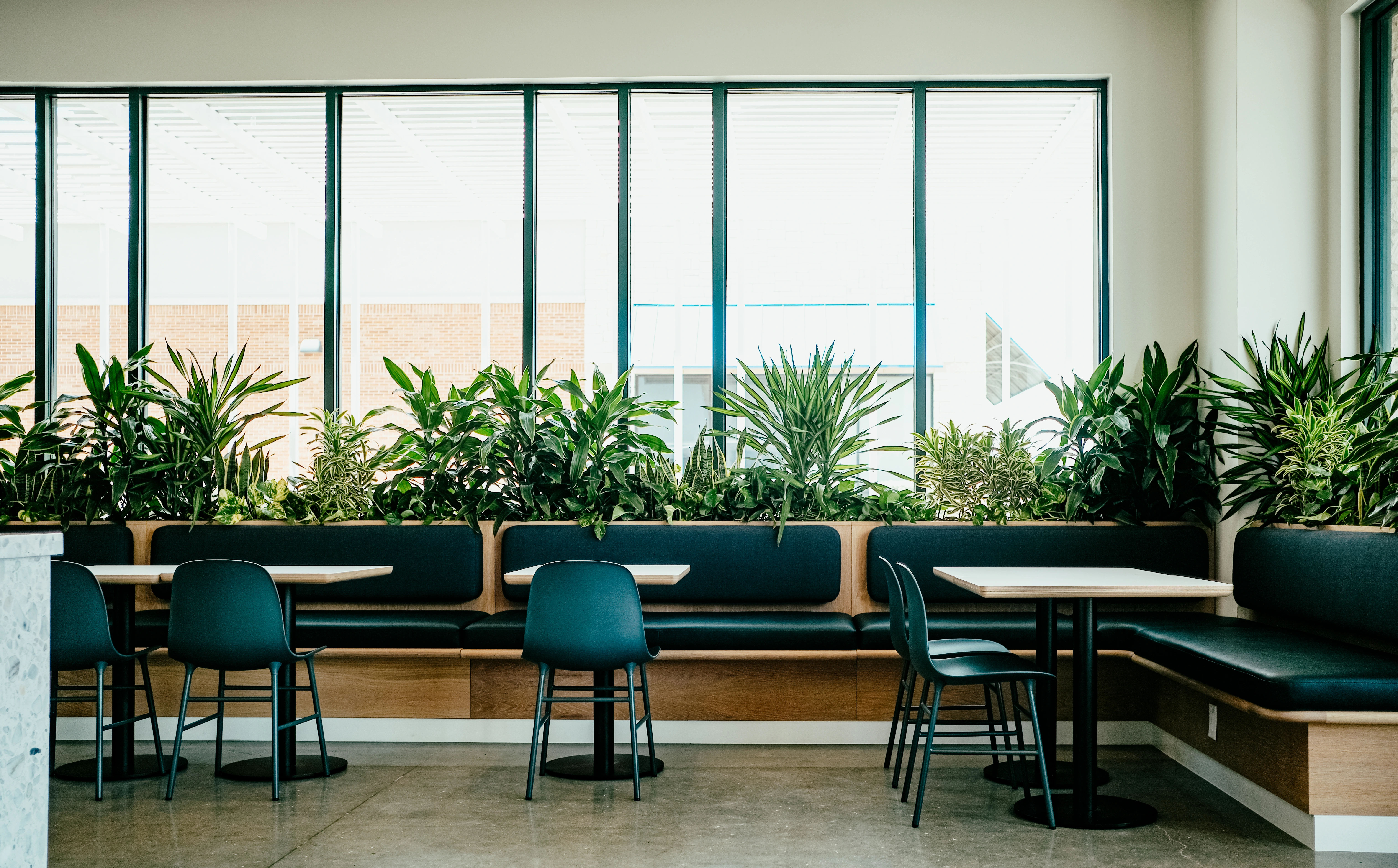 Honest Marys interior plant design