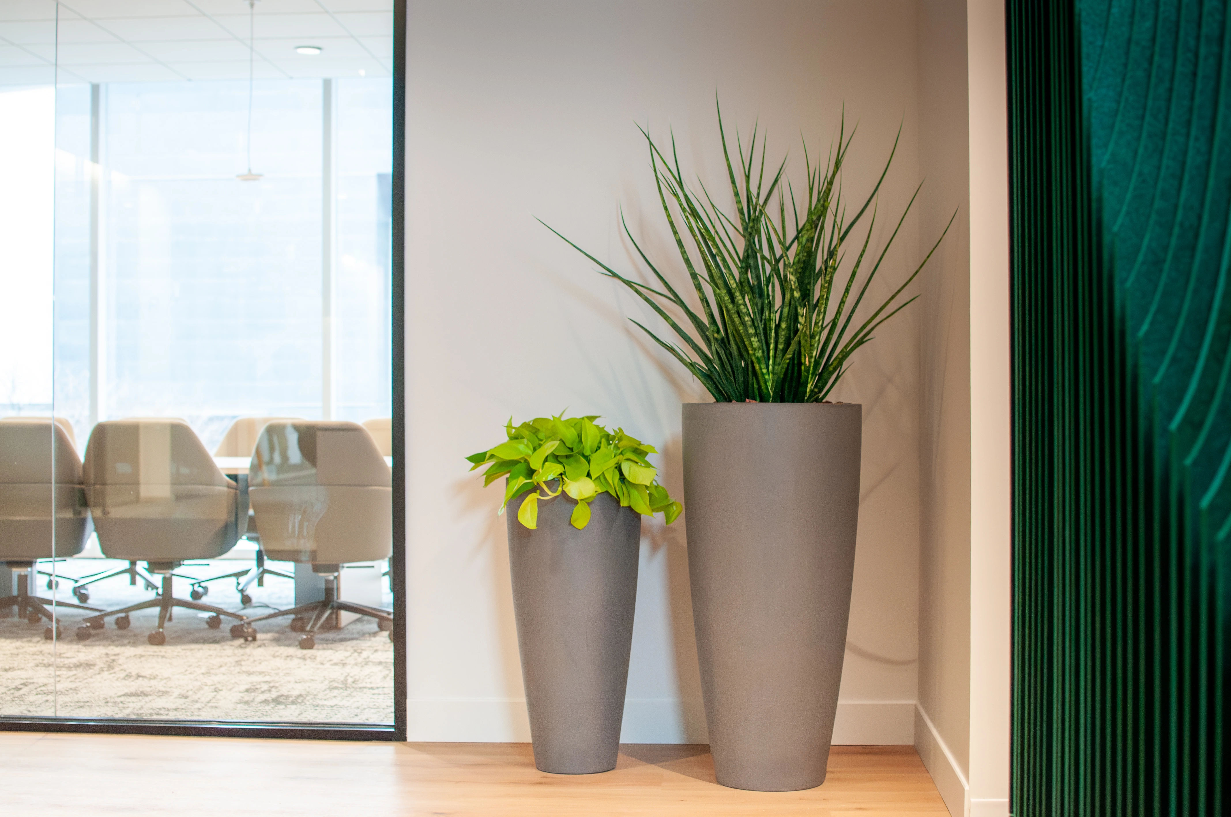 Aurora Energy Research interior plant design