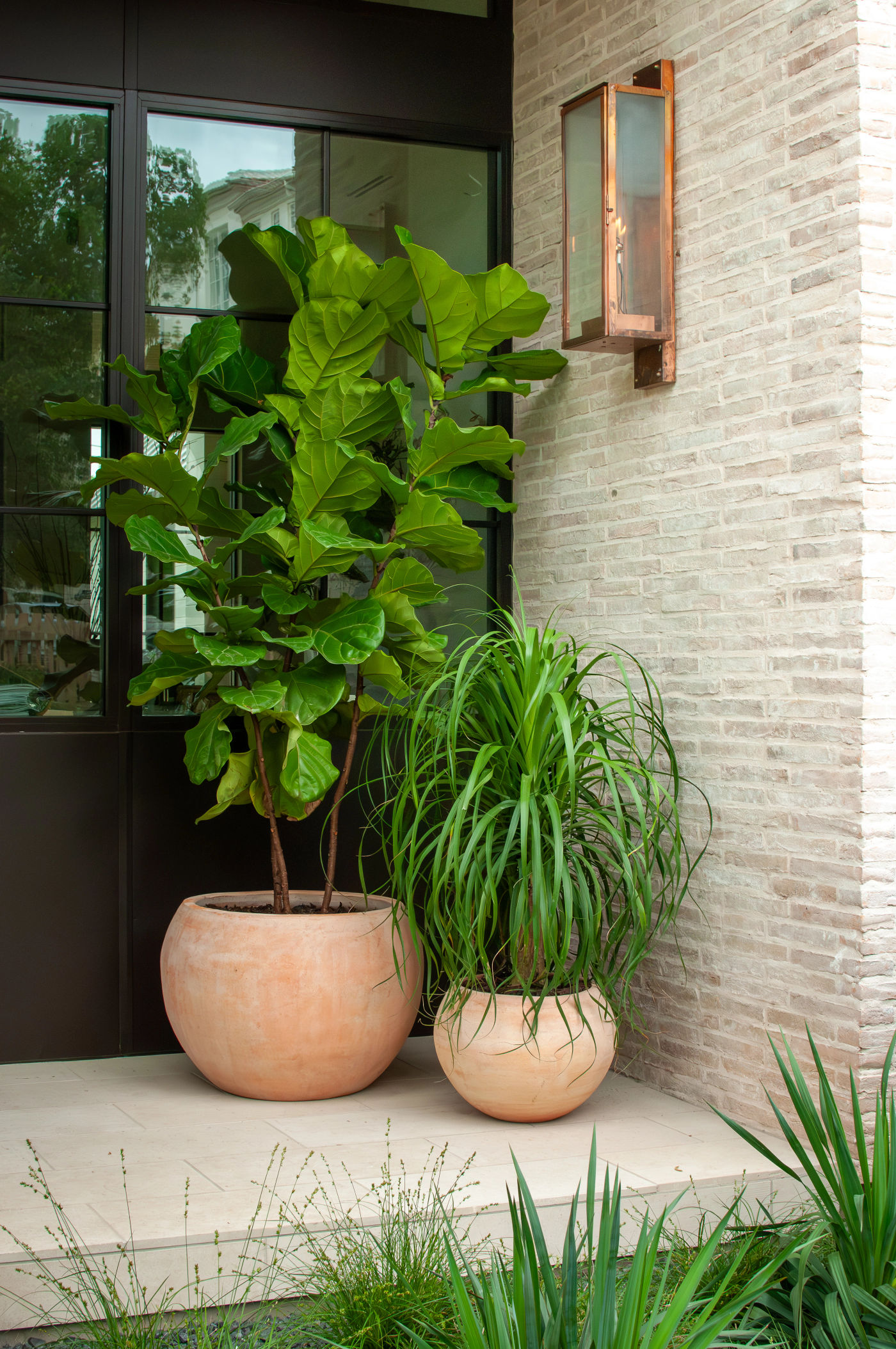 Round conical zinc pots under stairs Planted Pots, Interior Design, Landscape Design, Home Design, Landscape Architecture, Native Plants, Austin Nursery, Nursery, Garden Center, Gardening, Custom Design, Existing Planter Design, Plant Care, Plant Design, Plant Delivery