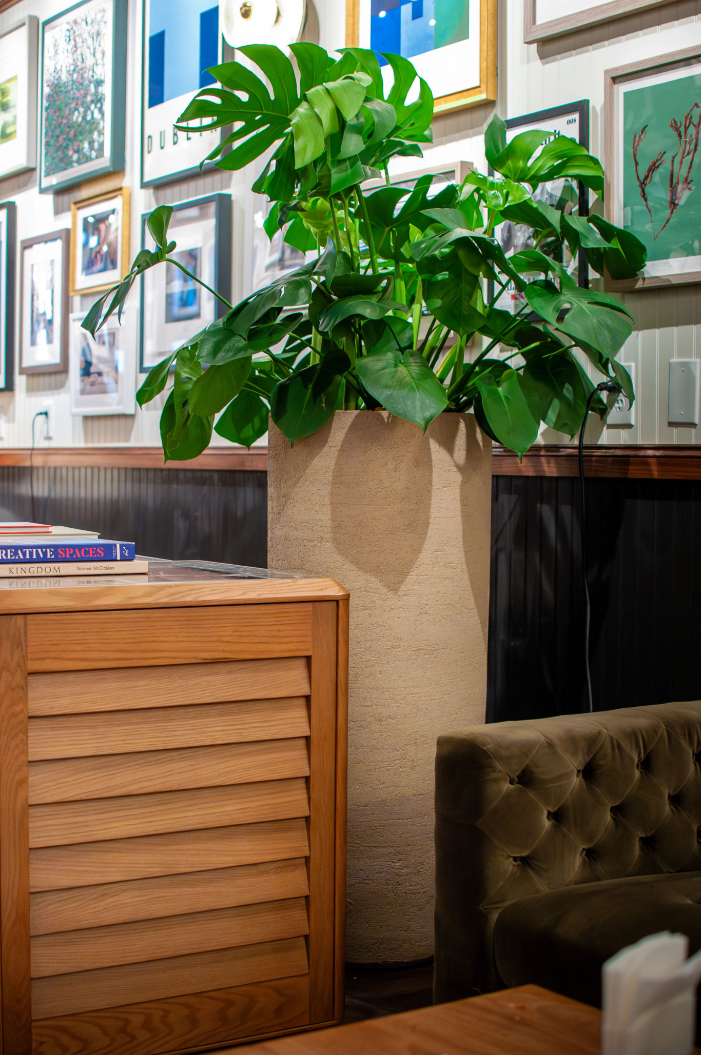 Bilbao terracotta pot on porch Planted Pots, Interior Design, Landscape Design, Home Design, Landscape Architecture, Native Plants, Austin Nursery, Nursery, Garden Center, Gardening, Custom Design, Existing Planter Design, Plant Care, Plant Design, Plant Delivery