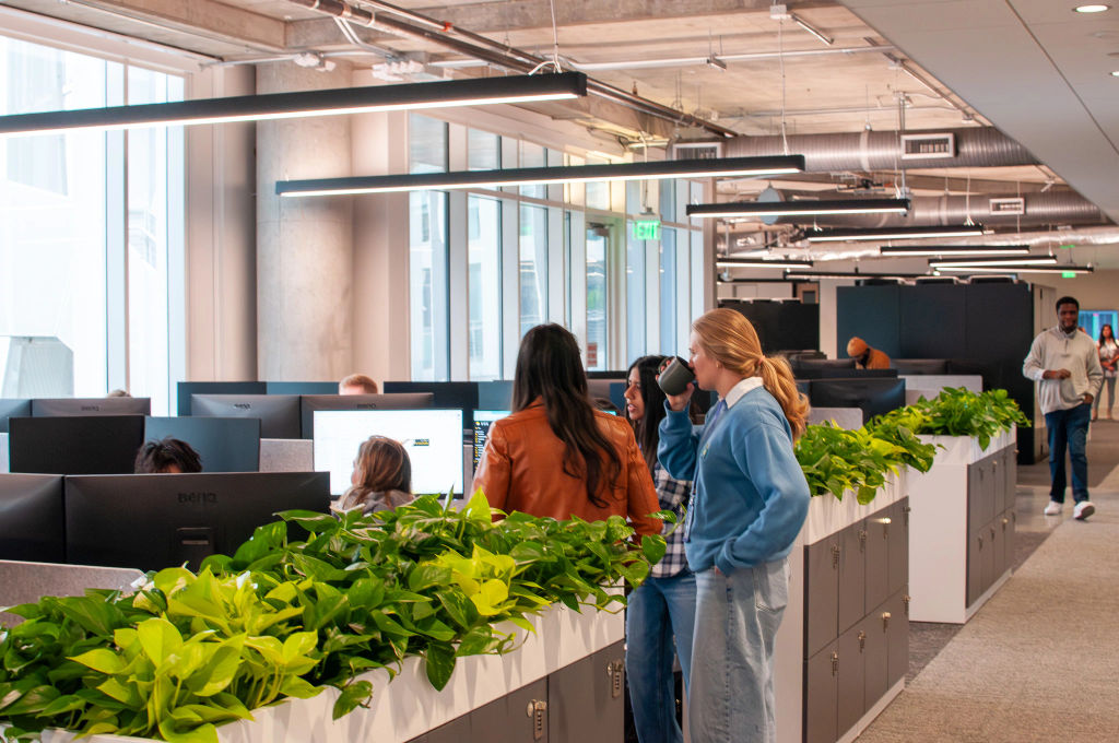 Commercial plant design services for Austin offices and hospitality spaces