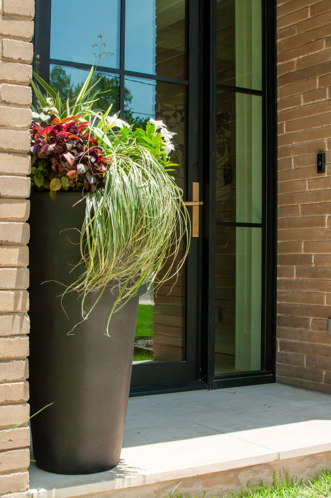 Seasonal plant refresh service - vibrant container plantings year-round