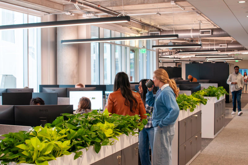 Commercial plant design services for Austin offices and hospitality spaces