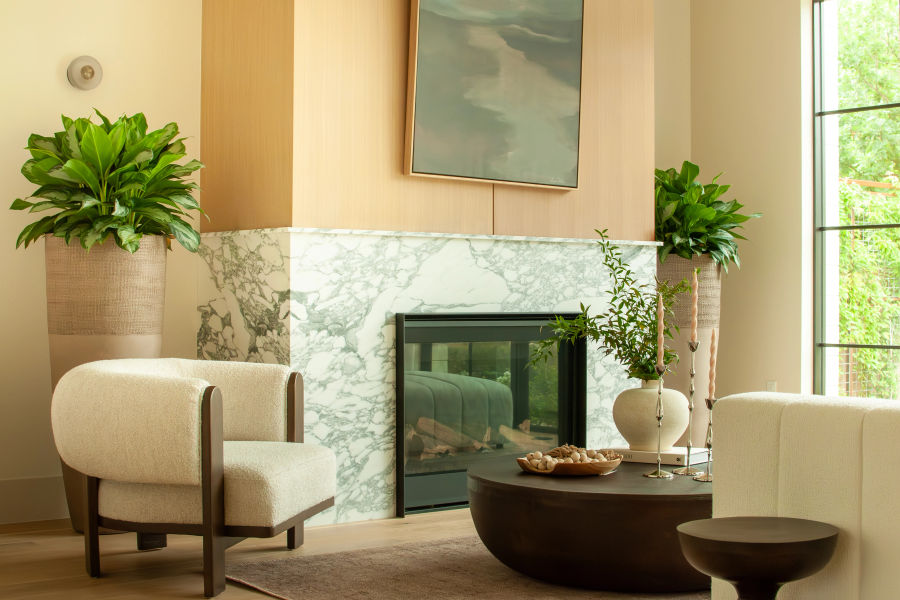 Residential plant design - Paris vase with Aglaonema